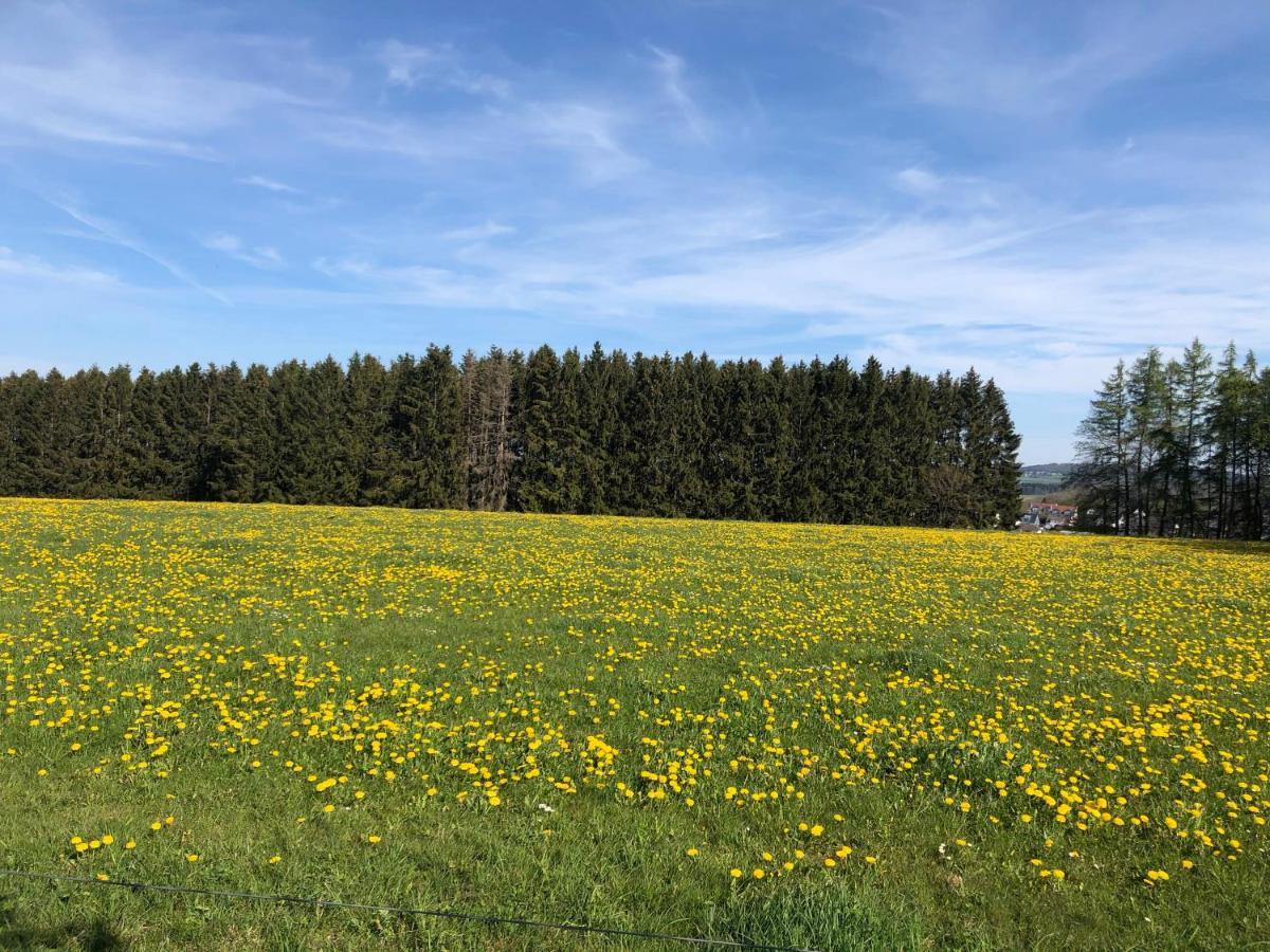 Ferienwohnung Am Wald Хахенбург Екстериор снимка